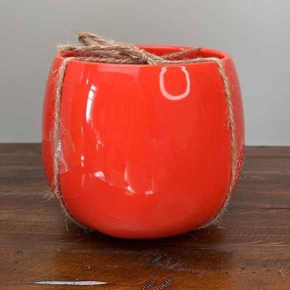 Rae Dunn “It’s Party Thyme” Planter - Picture 6 of 10